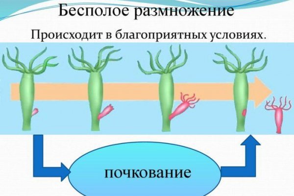Кракен дарксайд 2025 ссылка