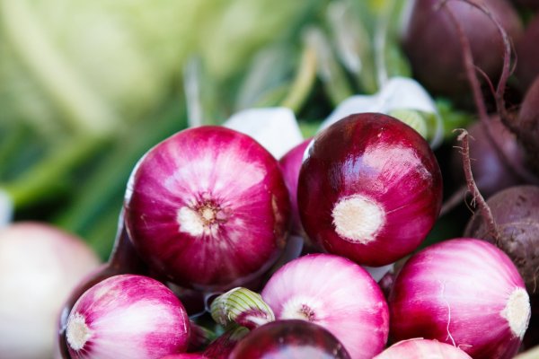 Ссылка на кракен onion kraken dark link