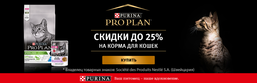Ссылка на кракен даркнет